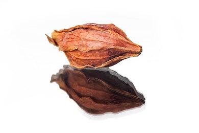 《腐烂国度3》采用虚幻5 《战争机器》开发商协助开发